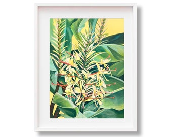 Kahili Ginger Plant Print, Yellow Ginger Kauai Flower, Hawaii Artist