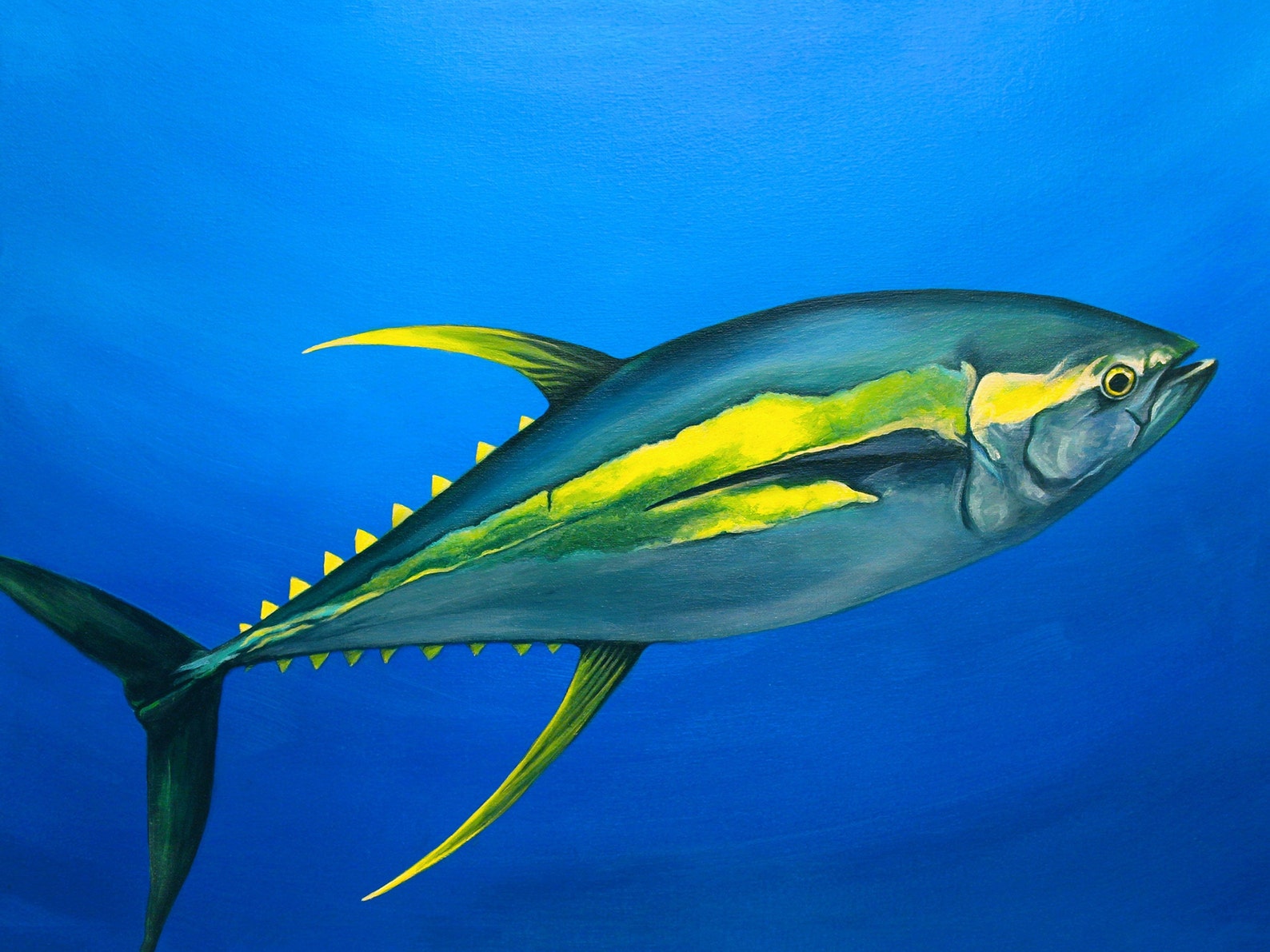 Ahi Tuna Painting Yellowfin Ahi Tuna Art Ahi Tuna Print Etsy