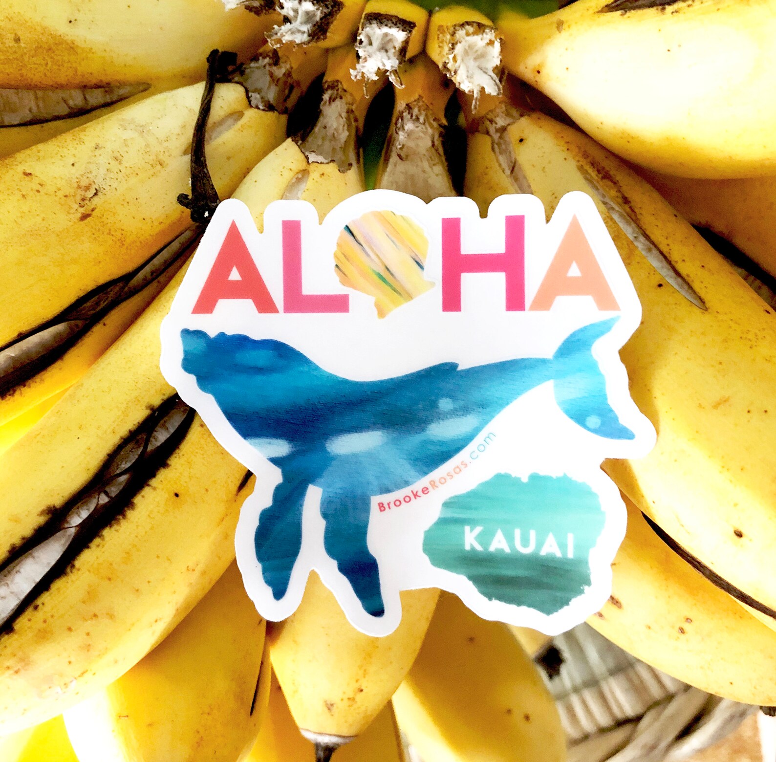 Whale Kauai Sticker Kauai Souvenir Hawaii Sticker Water Etsy
