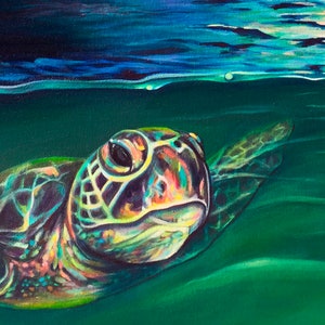 May include: A green sea turtle swims in turquoise water. The turtle's head is visible, with a large, dark eye and a colorful shell.