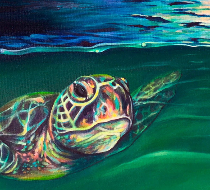 May include: A green sea turtle swims in turquoise water. The turtle's head is visible, with a large, dark eye and a colorful shell.