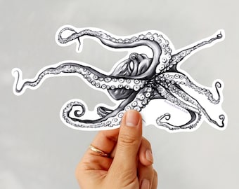 Kauai Octopus Sticker, Heʻe Hawaii Souvenir