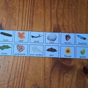 Bilingual nature scavenger hunt autumn english spanish