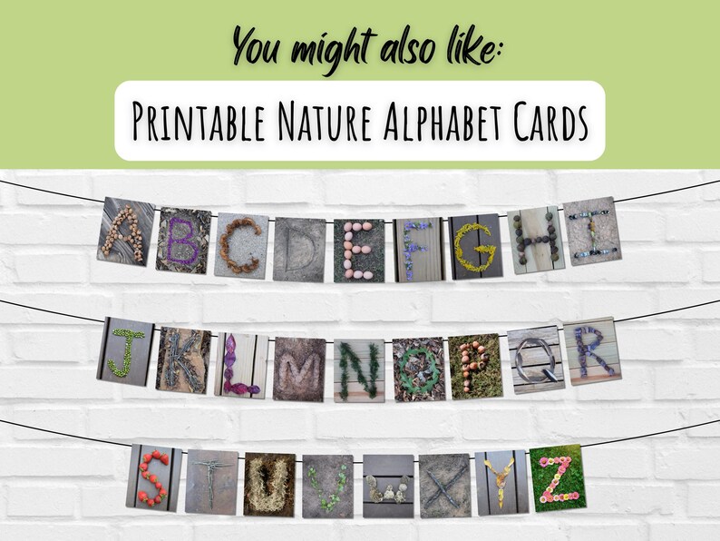 Pode incluir: Cartas de alfabeto imprim&iacute;veis com letras feitas de materiais naturais como folhas, flores e pedras. As cartas s&atilde;o enfiadas em um fundo de parede de tijolo branco.