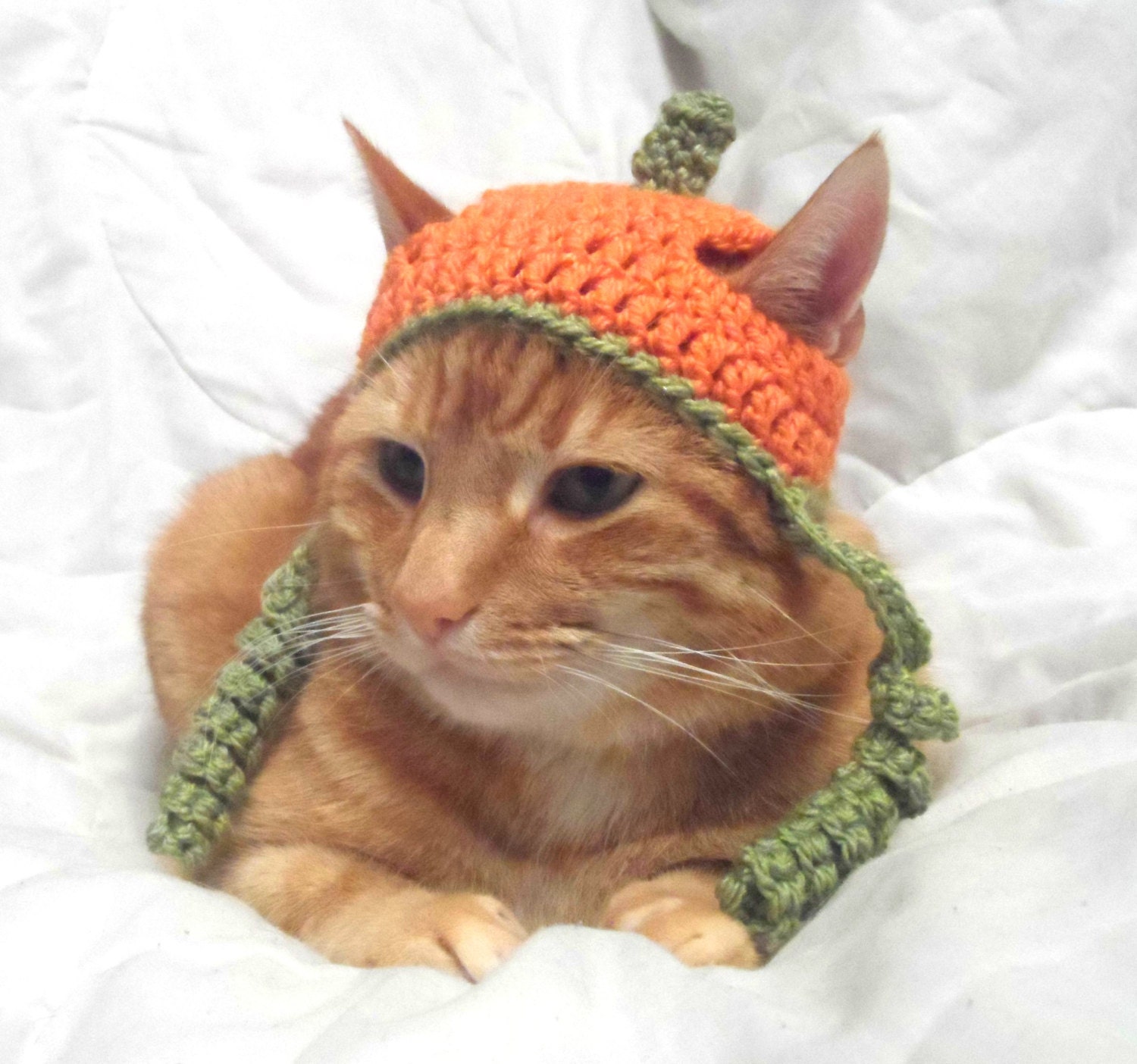 Crochet Cat Hat Etsy