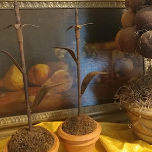 May include: Two small terracotta pots each hold a brown, mossy sphere with a metal plant stem and leaves. The stems are rusty brown. The pots sit on a yellow cloth in front of a framed painting.