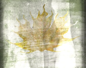 May include: A faded, yellow leaf with a textured, watercolor-like effect on a green and white background.