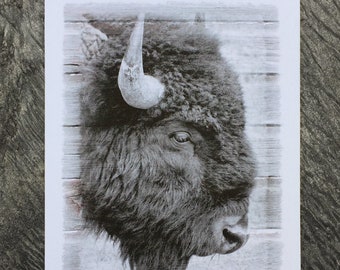 Bison Note Cards -  Boxed Set of Blank Note Cards; Notecards with Buffalo Photo; Western Note Cards; Bison Note Card Set; Blank Card Set