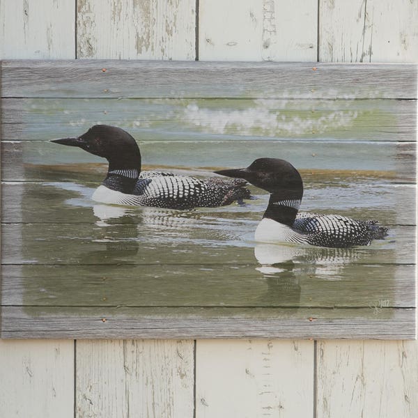 Loons on the Lake Canvas Print, Loon Art for Lake House, Loon Decor for Cabin, Wildlife Print, Lodge and Cabin Decor, Loon Pair on Lake Art