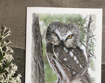 Owl Note Card Set; Boxed Set of Blank Notecards and 8 Envelopes with Photo of Northern Saw-whet Owl