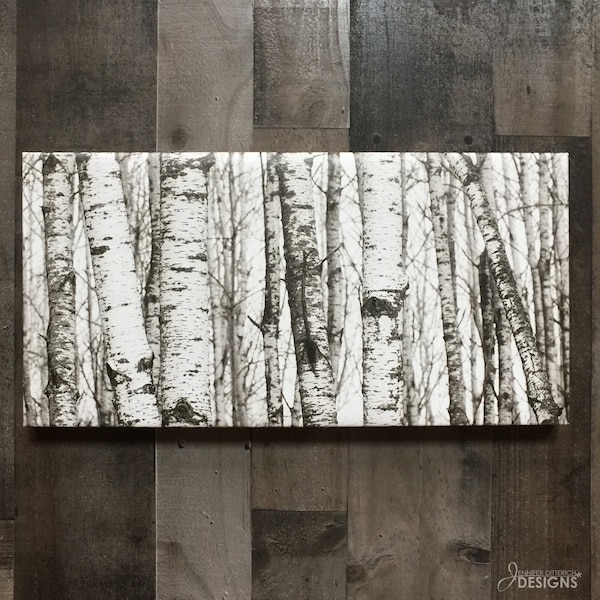 Birch Trees Wall Art Etsy
