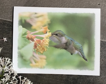 Hummingbird Note Card Set; Boxed Set of Blank Notecards and Envelopes with Photo of Hummingbird in Flowers