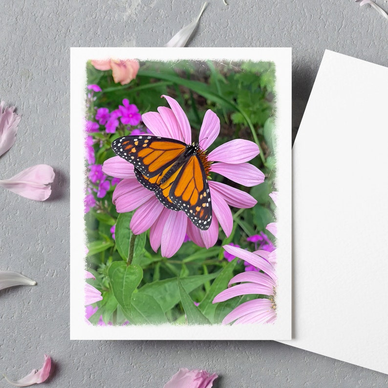 Monarch Butterfly Boxed Note Card Set in Gift Box - Etsy