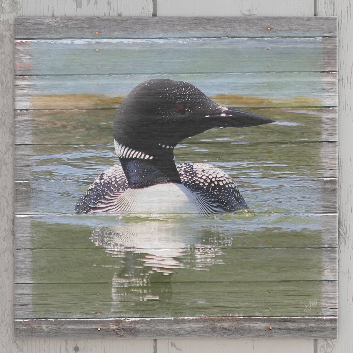 Loon Canvas Print Lake House Decor Lodge and Cabin Decor | Etsy