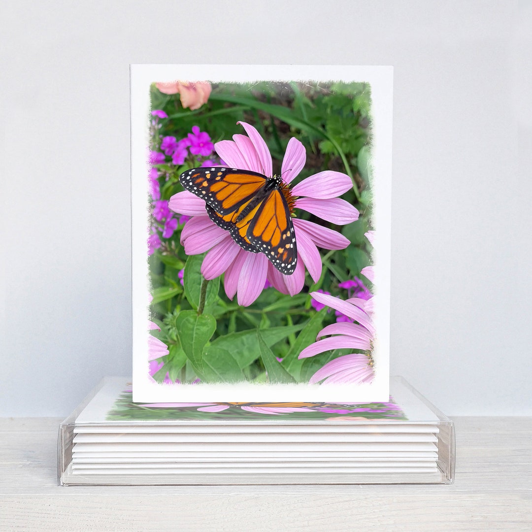 Monarch Butterfly Boxed Note Card Set in Gift Box - Etsy
