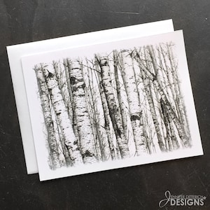 Birch Trees Note Card Set - Blank Boxed Cards with Envelopes