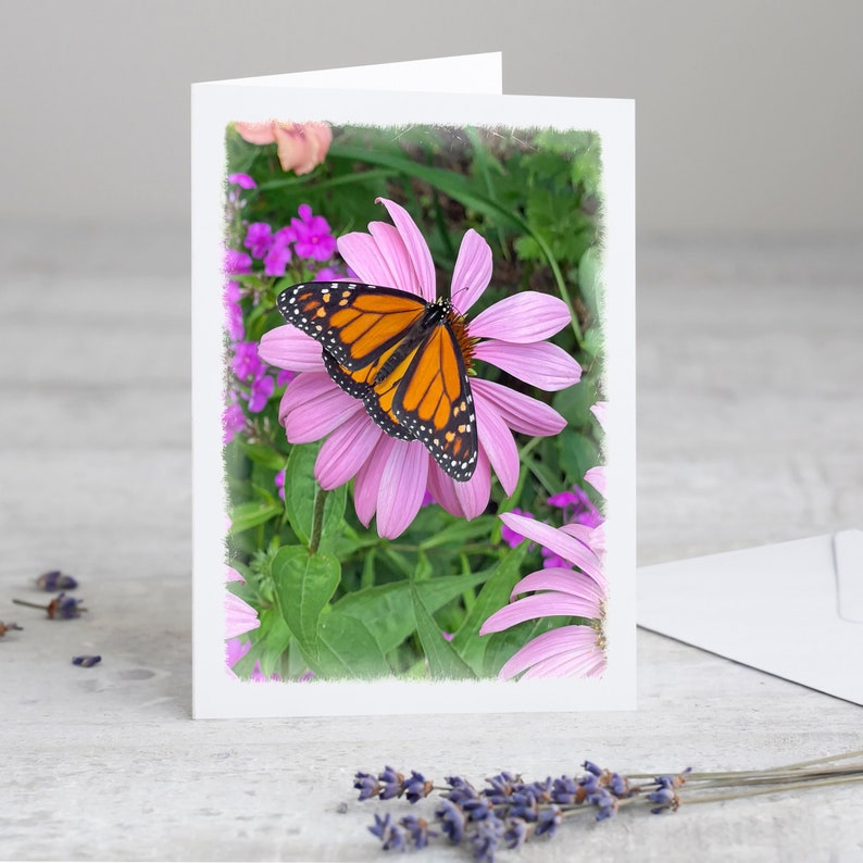 Monarch Butterfly Boxed Note Card Set in Gift Box - Etsy