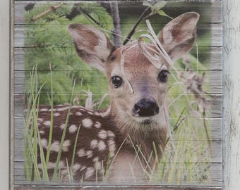 Deer Home Decor Spring Fawn Canvas Wall Art Print Deer Home Decor Spring Fawn Canvas Wall Art Print