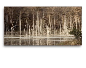 Memories of Trees Canvas Lake Print, Trees in Lake Rustic Wall Art, Neutral Canvas Lake House Print, Lake Scene Photograph on Canvas