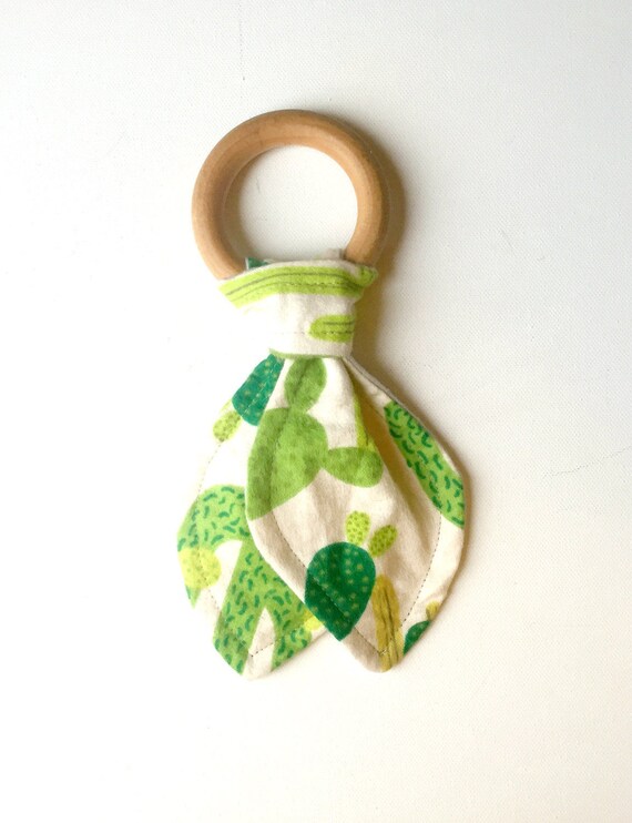 Ahorn Beiring-Kaktus - Etsy.de