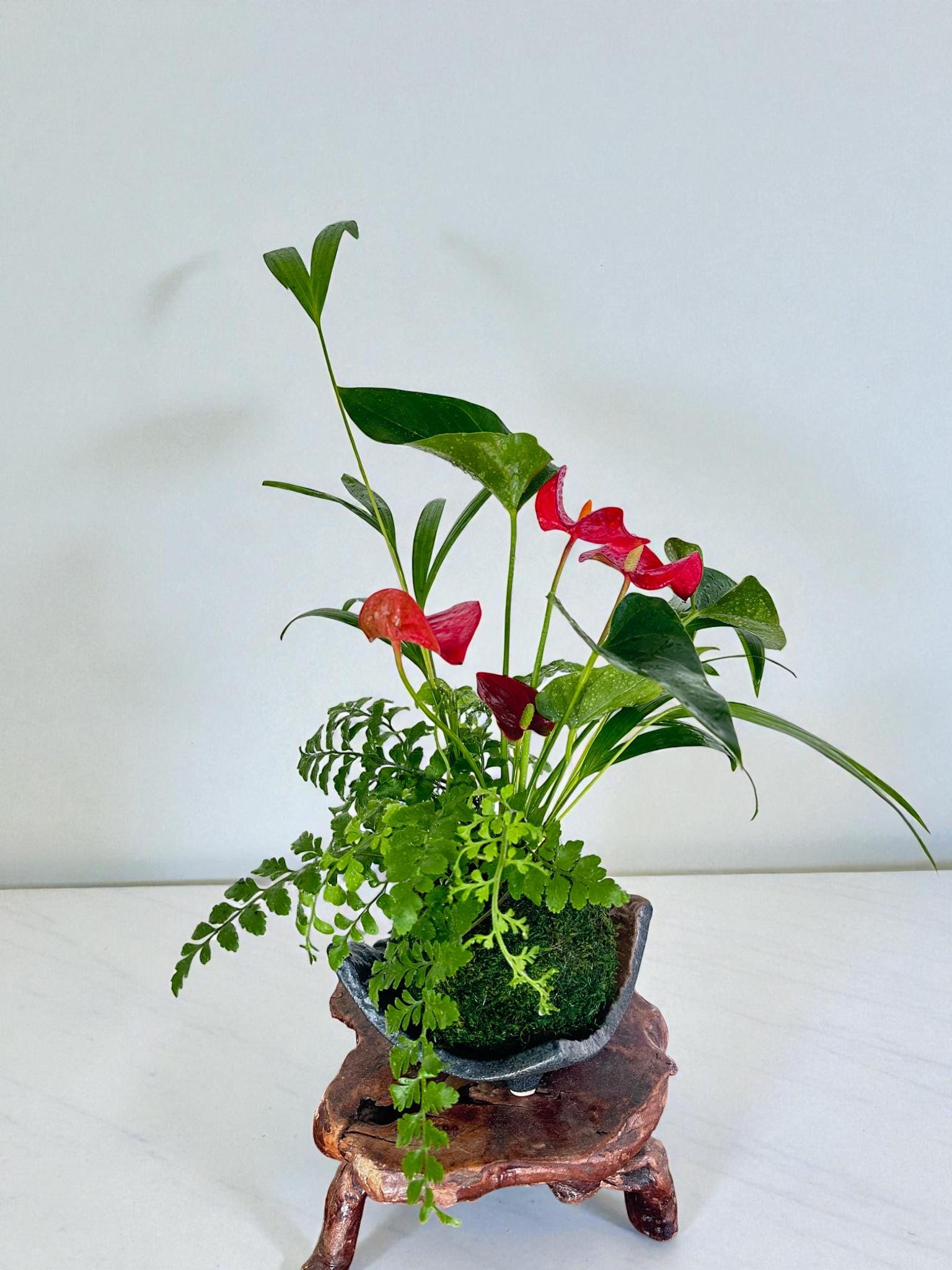 Arranged Anthurium Ikebana Style With Maya Palm or Parlor Palm and