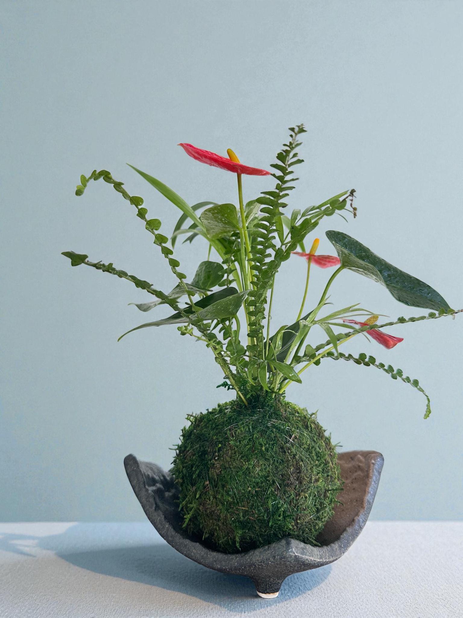 Arranged Anthurium Ikebana Style With Maya Palm or Parlor Palm and