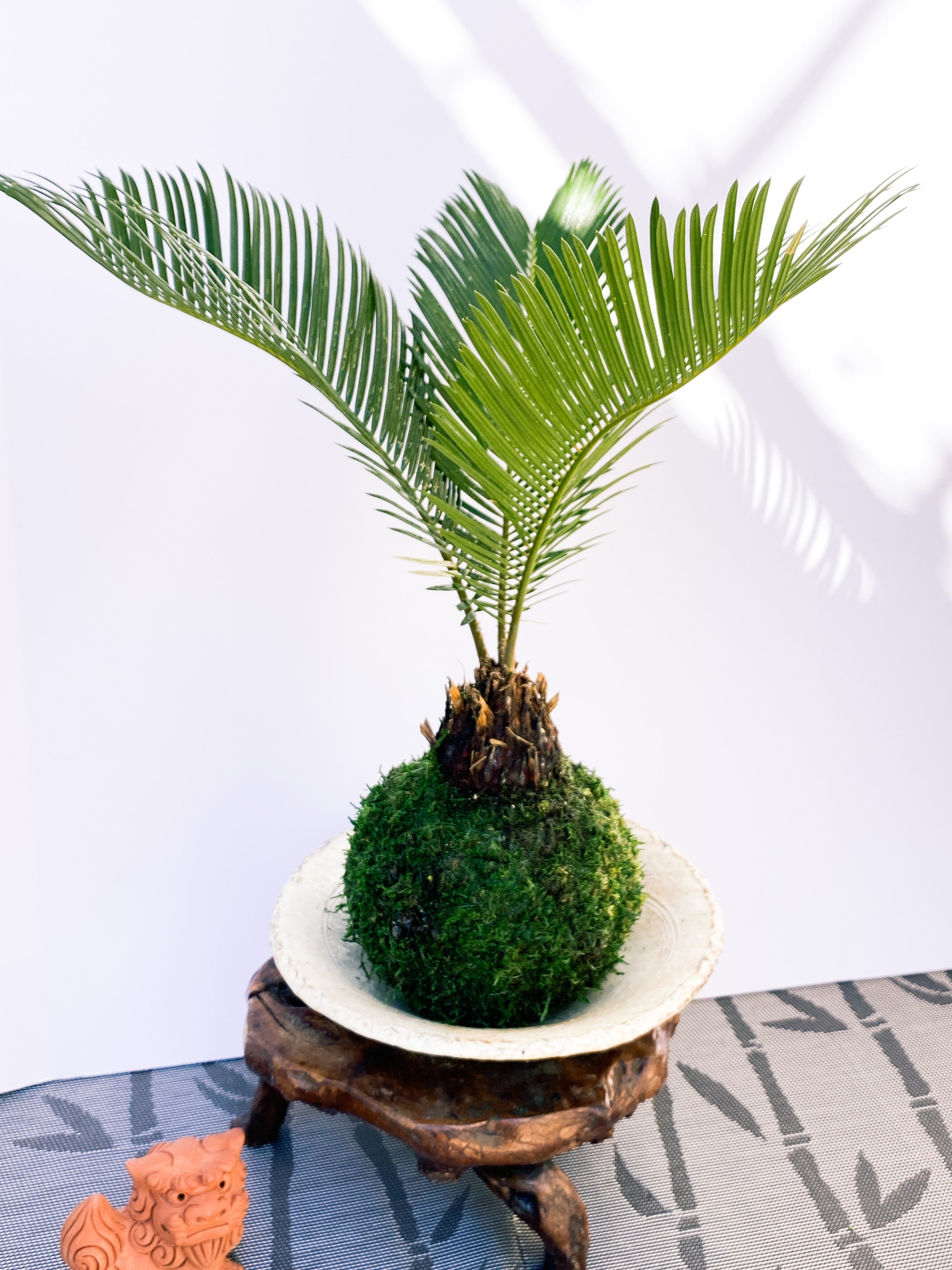 artificial fiddle leaf fig plant Fiddle Leaf Fig