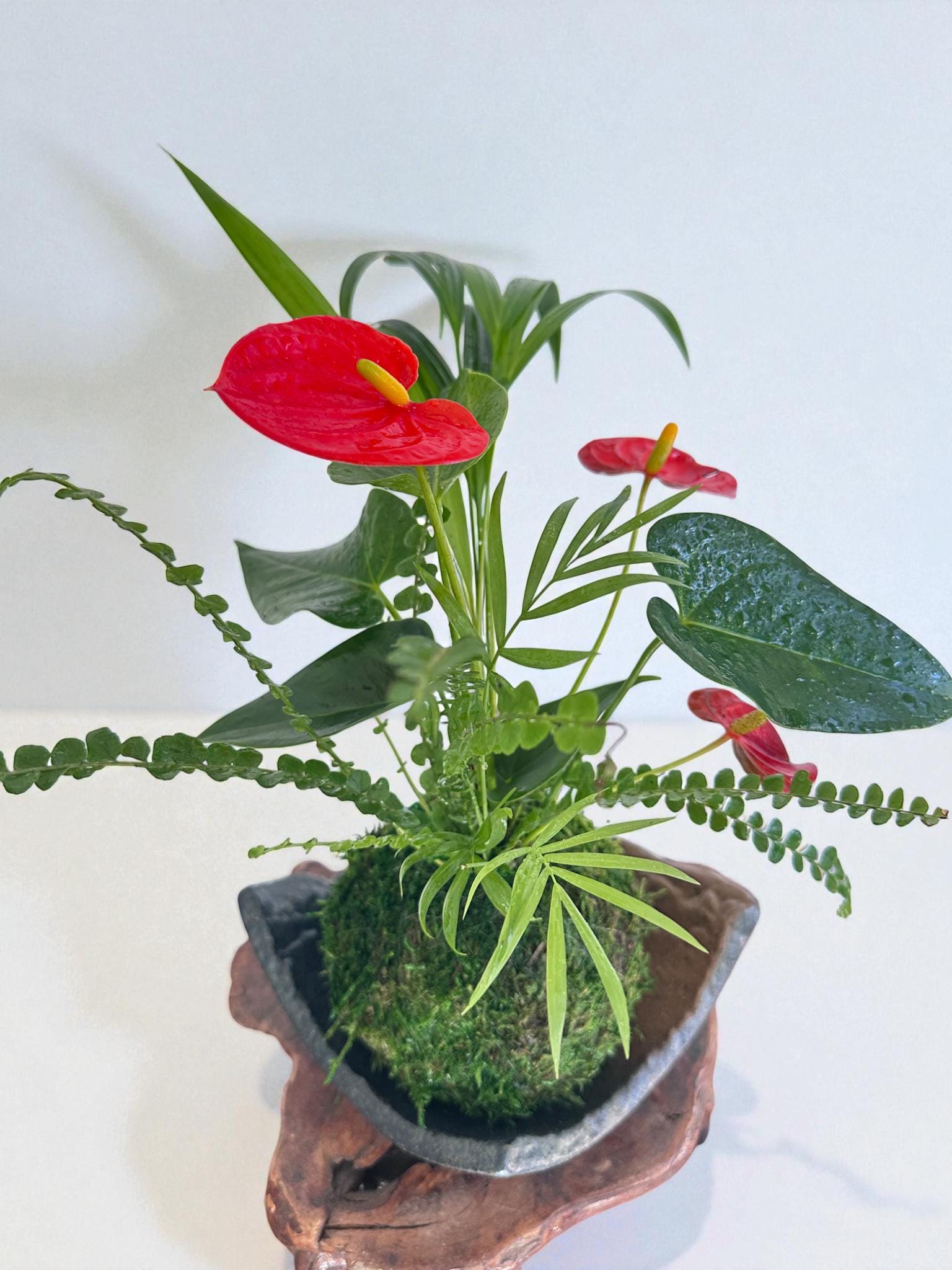 Arranged Anthurium Ikebana Style With Maya Palm or Parlor Palm and