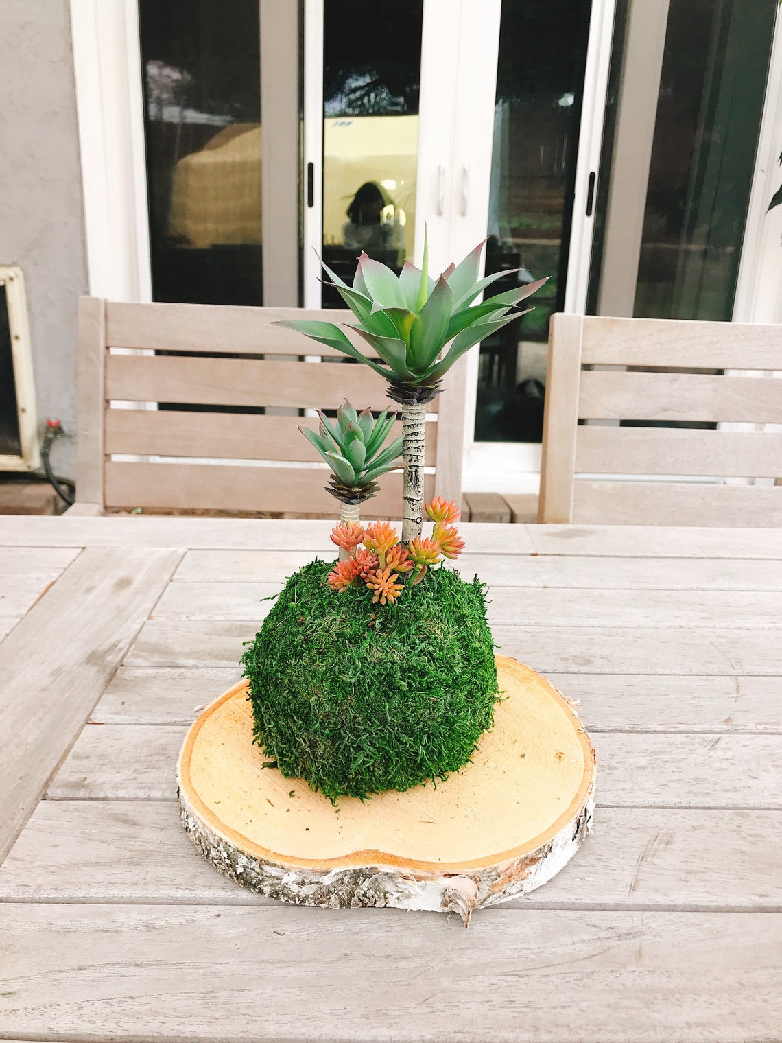 kokedama download free kokedama download free