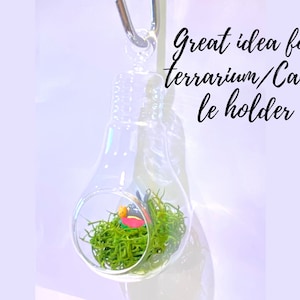 Athenas Garden HCH0606 6 x 3 in. Clear Bulb Hanging Glass Terrarium & Candle Holder