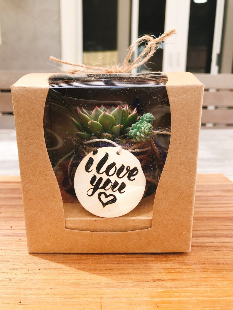 Moss ball with assorted succulents in the giftbox. Gift box mini kokedama