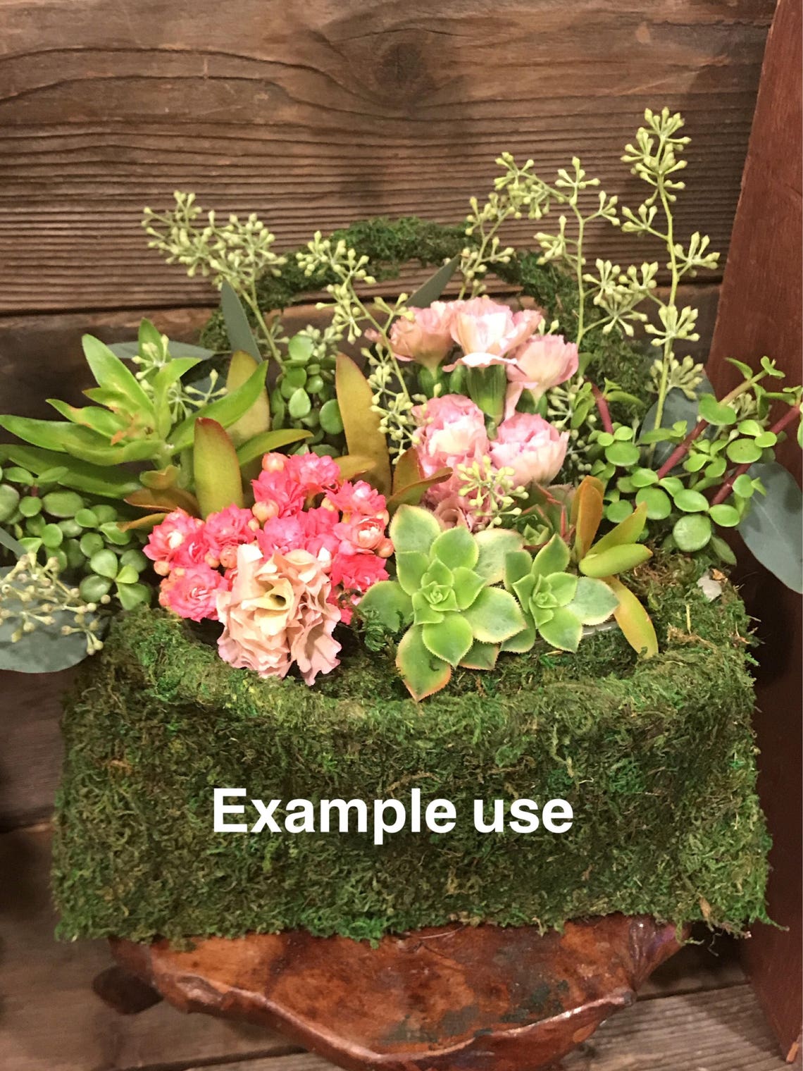 Deco Purse Fresh Green Moss Basket Create Your Own Moss Etsy