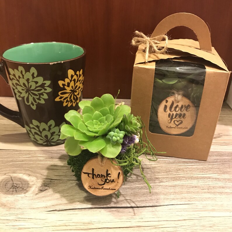 Moss ball with assorted succulents in the giftbox. Gift box mini kokedama