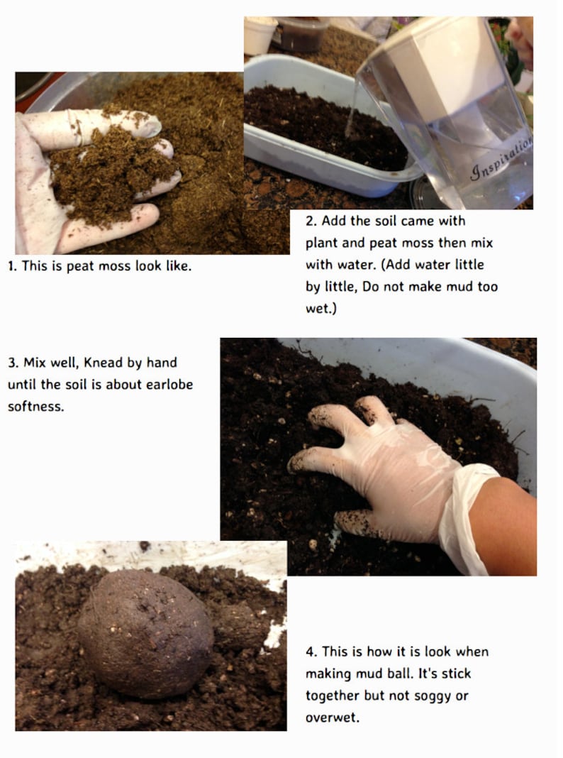 Kokedama DIY Kit will mix soils for your desired plants image 3