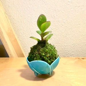 Mini jade with light blue small bowl made in Japan 2" x 1.5" h