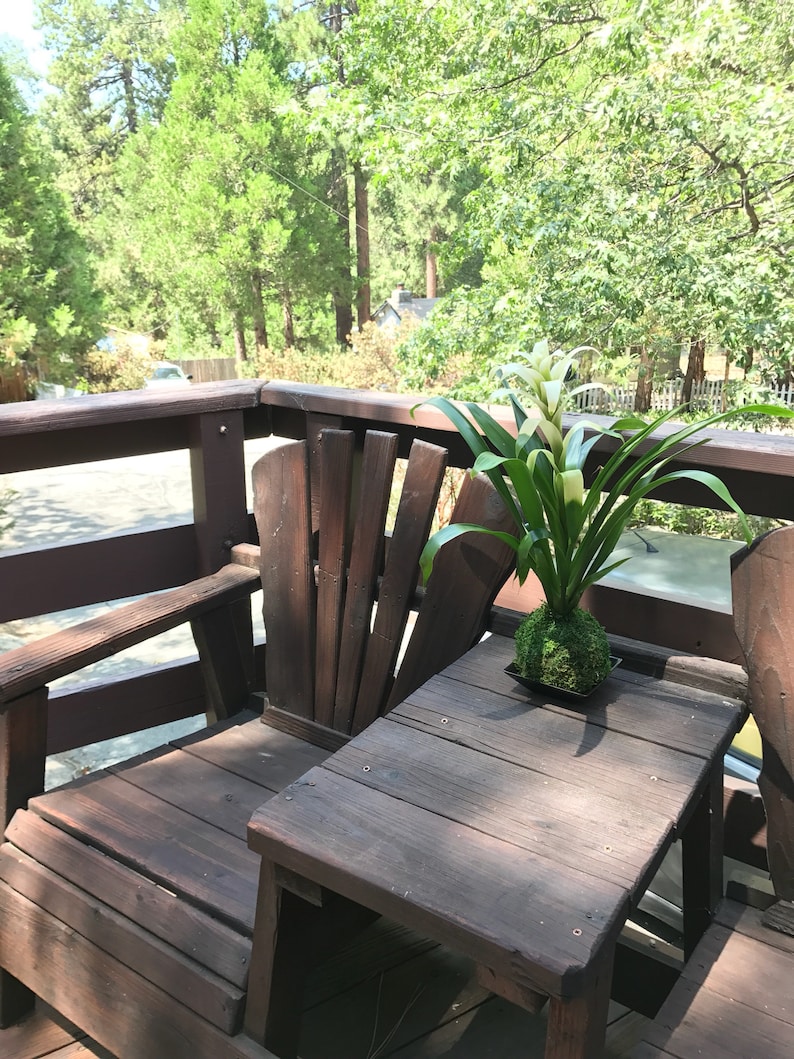 KodamaForest Bromeliad Kokedama - Thumbnail 2