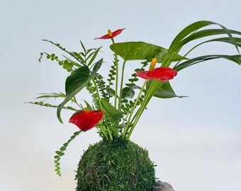 Arranged Anthurium Ikebana Style With Maya Palm or Parlor Palm and