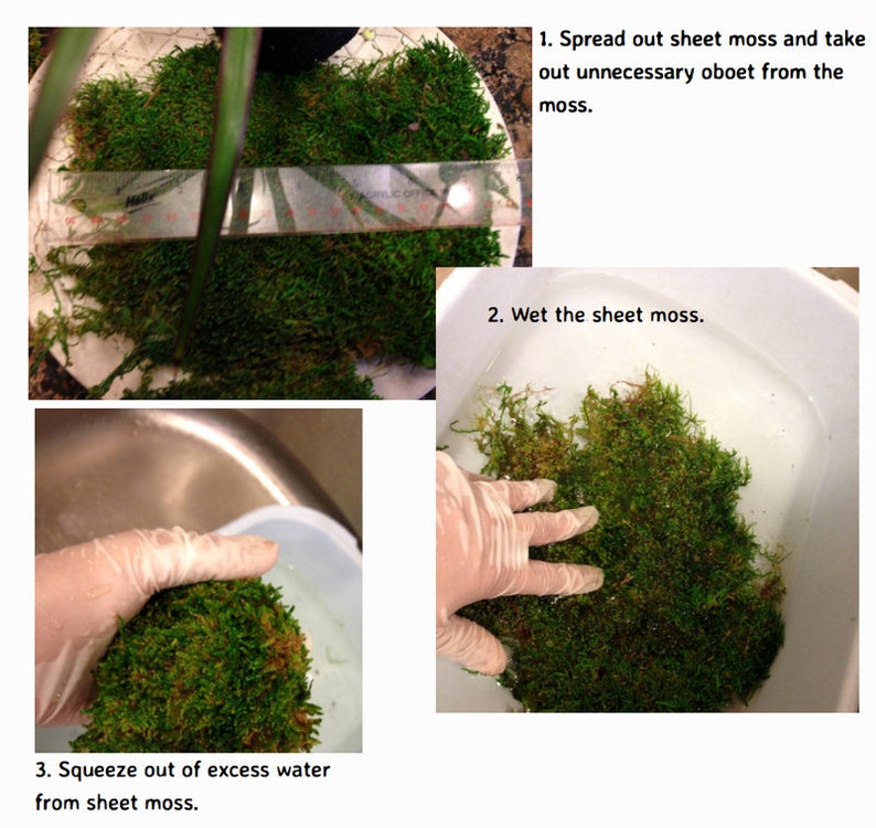 Kokedama DIY Kit will mix soils for your desired plants image 4