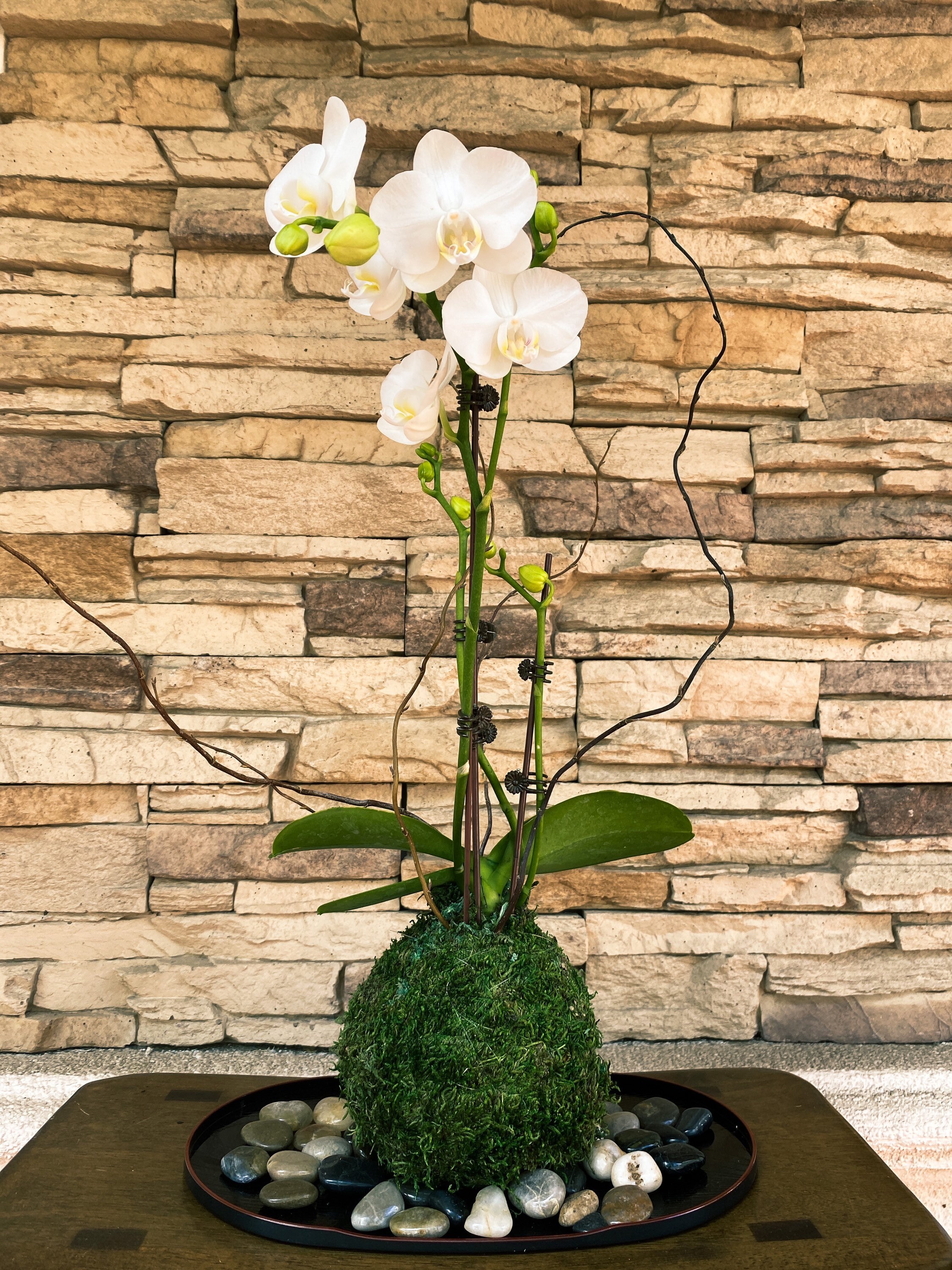 White Orchid Moss Ball – ReclaimedWarehouse