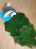 Kokedama DIY Kit - will mix soils for your desired plants! 