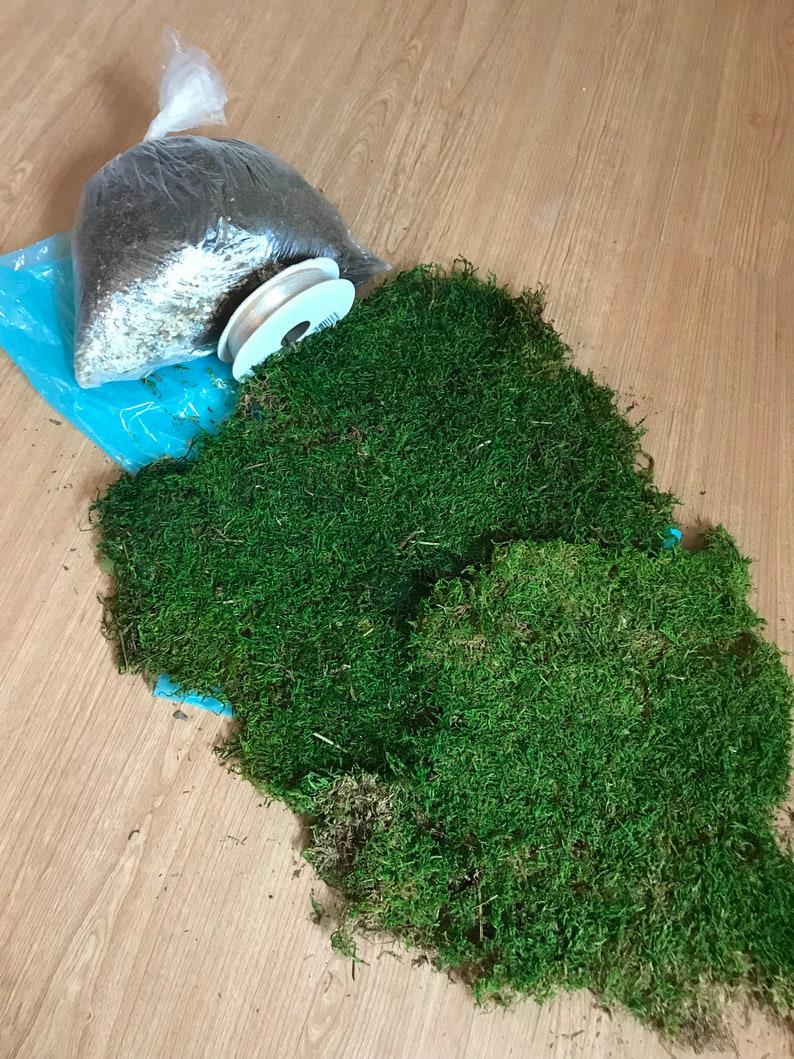 Kokedama DIY Kit will mix soils for your desired plants image 1