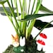 see more listings in the Kokedama Accessory section