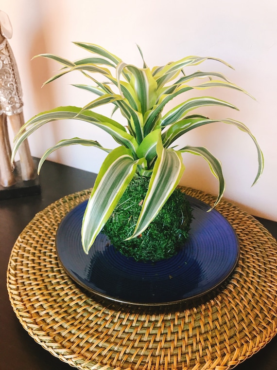 false plants indoors 8 Artificial Mini Potted Plants