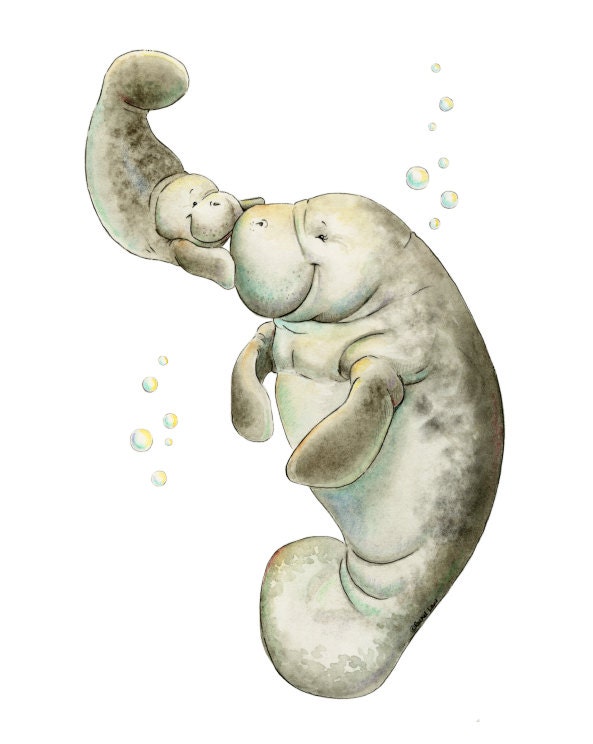 Download Mom and Baby Manatee Watercolor Manatee Manatee Cute | Etsy