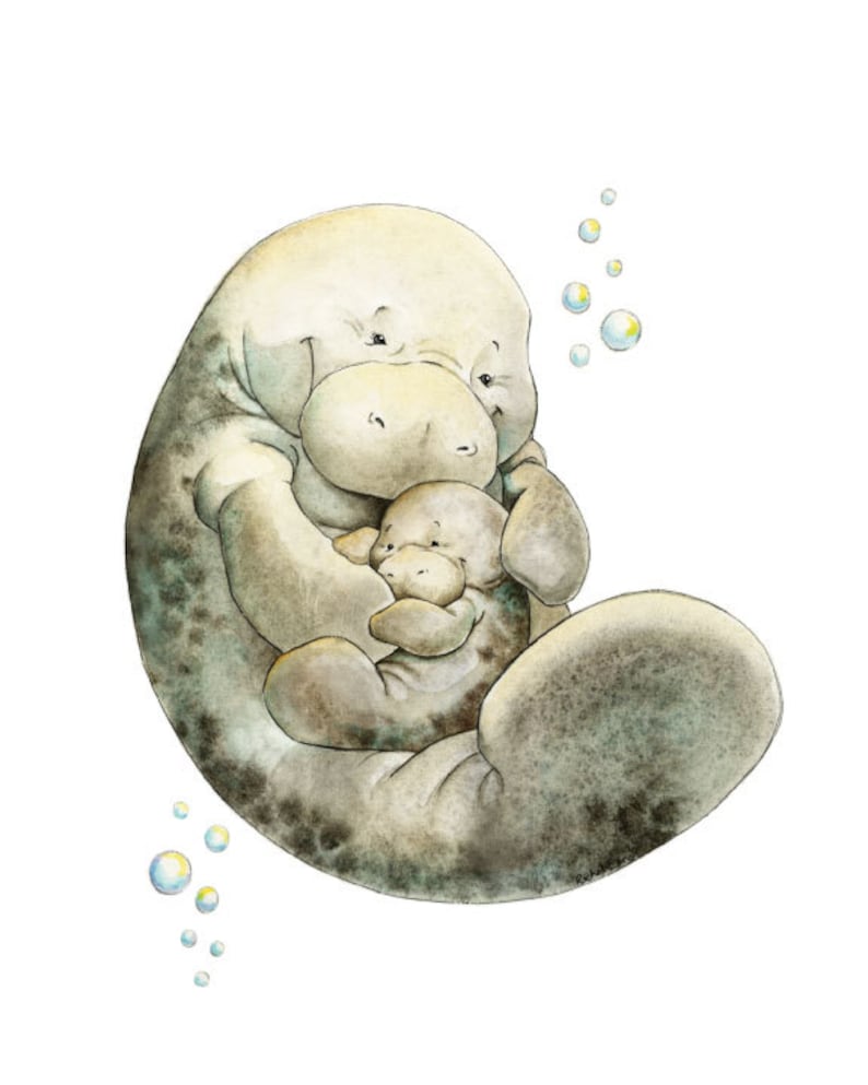 Manatee Mom and Baby Manatee Nursery Art Watercolor - Etsy
