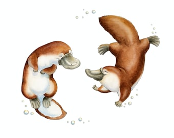 DIGITAL DOWNLOAD, Platypus, platypus love