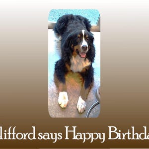 Tarjeta de feliz cumpleaños, tarjeta de cumpleaños de perro de montaña bernés, tarjeta de cumpleaños divertida