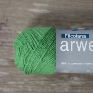 以下が含まれることがあります： 「Filcolana arwetta classic 80% superwash メリノウール、20% ナイロン」とラベル付けされた緑色の糸の玉。