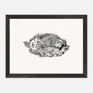 Framed Fish Wall art - Flounder