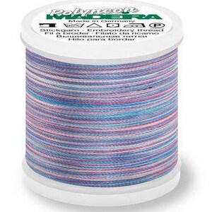 Ma9845V-1606 Polyneon No 40 200M 220 Yd- Variegated Rainbow Thread